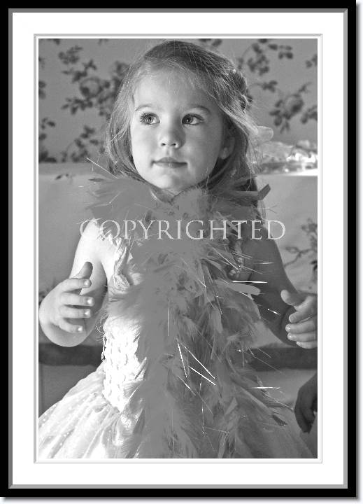 Click for the original image